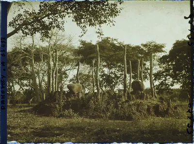 Tertre de guerre des rois du Dahomey